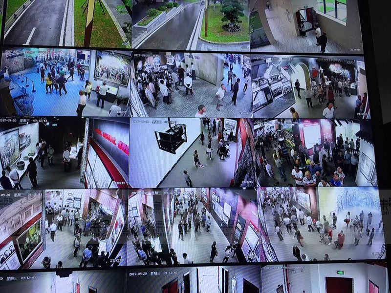 女人与公狍交酡女免费