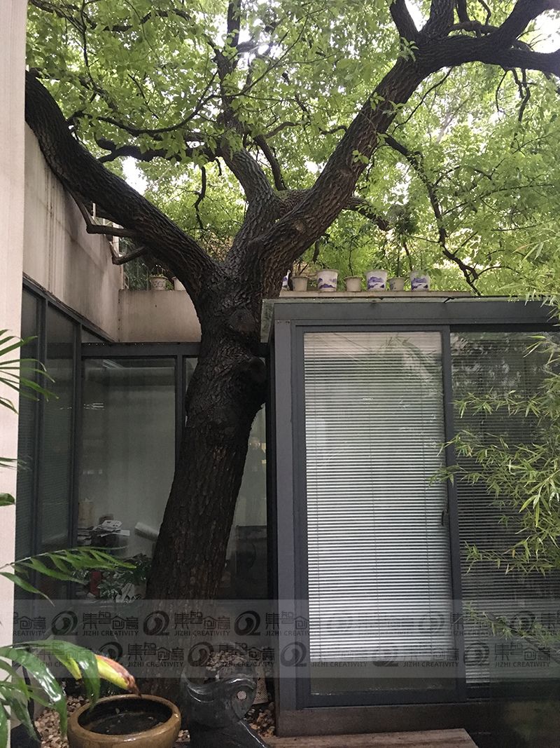 女人与公狍交酡女免费