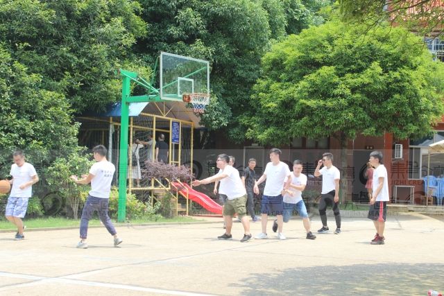 女人与公狍交酡女免费