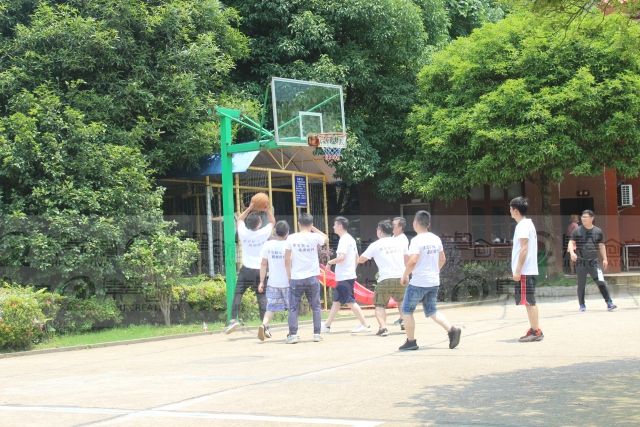 女人与公狍交酡女免费