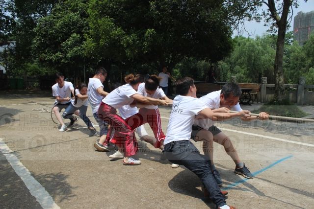 女人与公狍交酡女免费