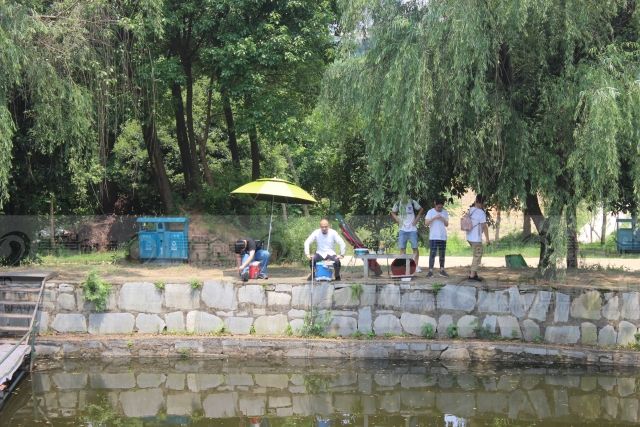 女人与公狍交酡女免费