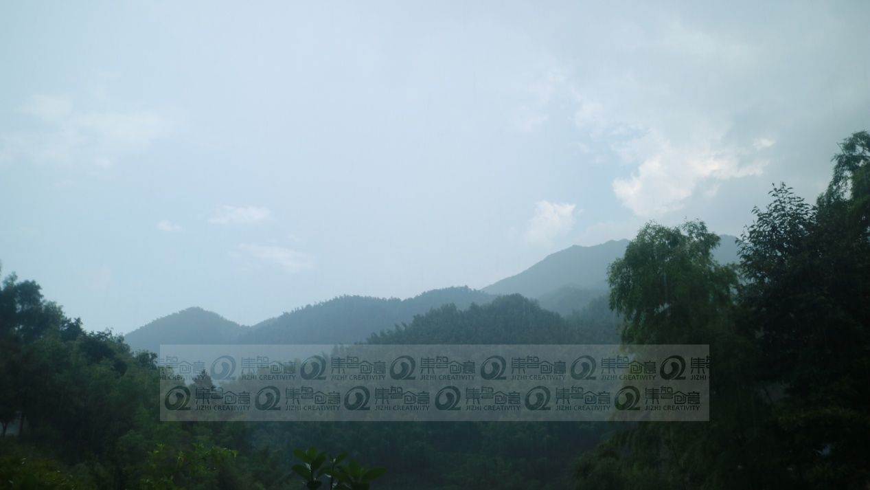 女人与公狍交酡女免费