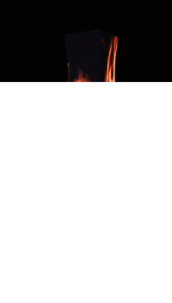 女人与公狍交酡女免费