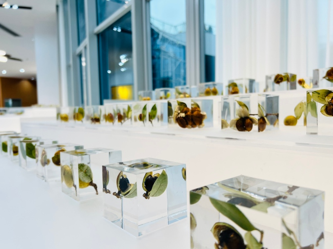 女人与公狍交酡女免费