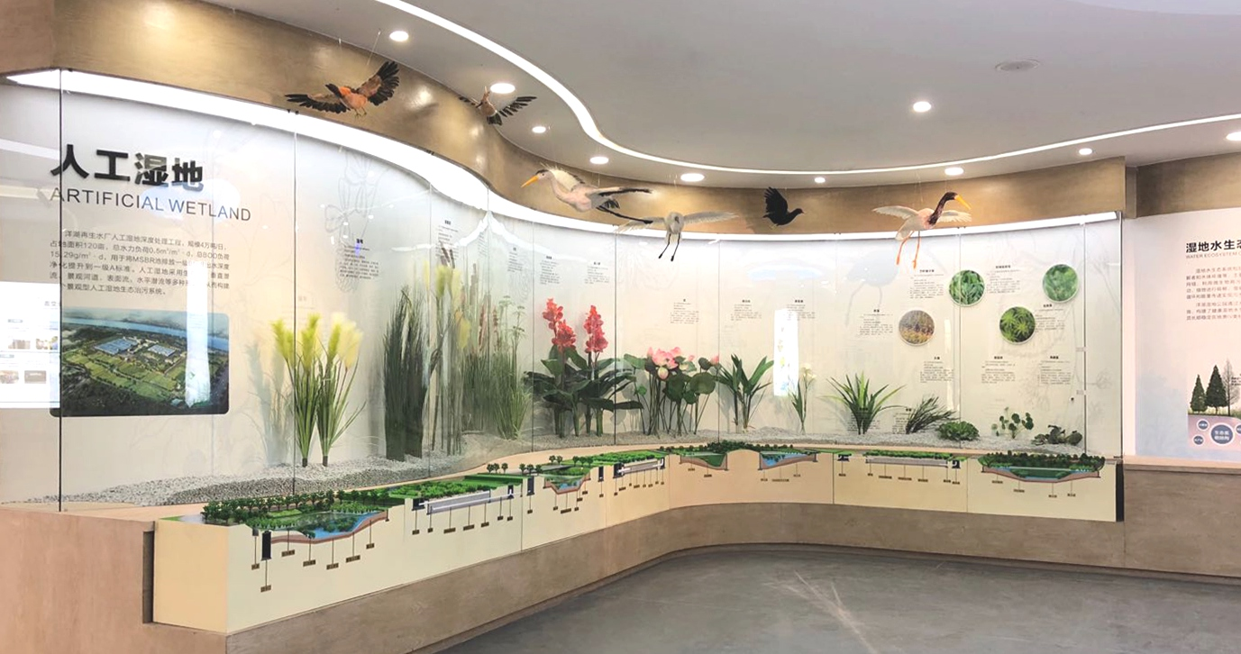 女人与公狍交酡女免费