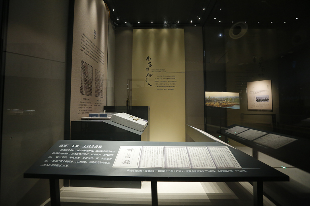 女人与公狍交酡女免费