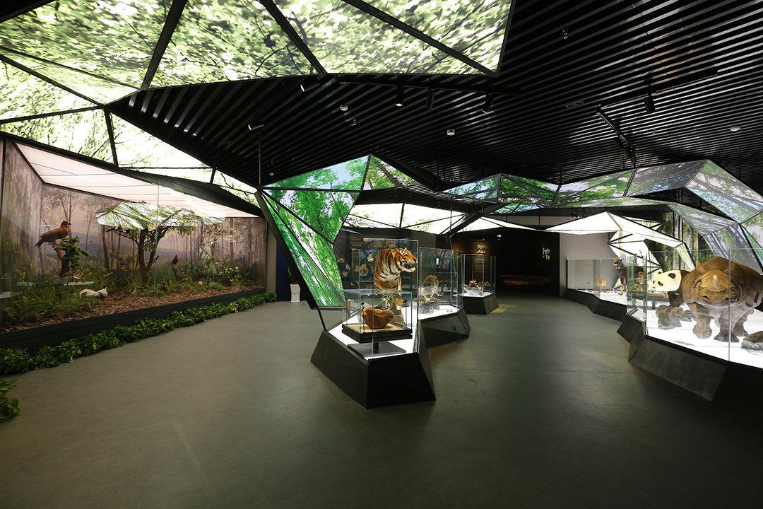 女人与公狍交酡女免费